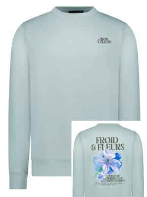 Cars Jeans Sweater met Rugprint - Froy SW - 6719734