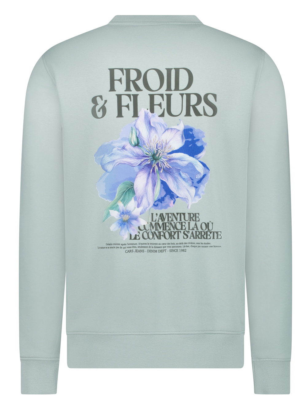 Cars Jeans Sweater met Rugprint - Froy SW - 6719734 - Afbeelding 3