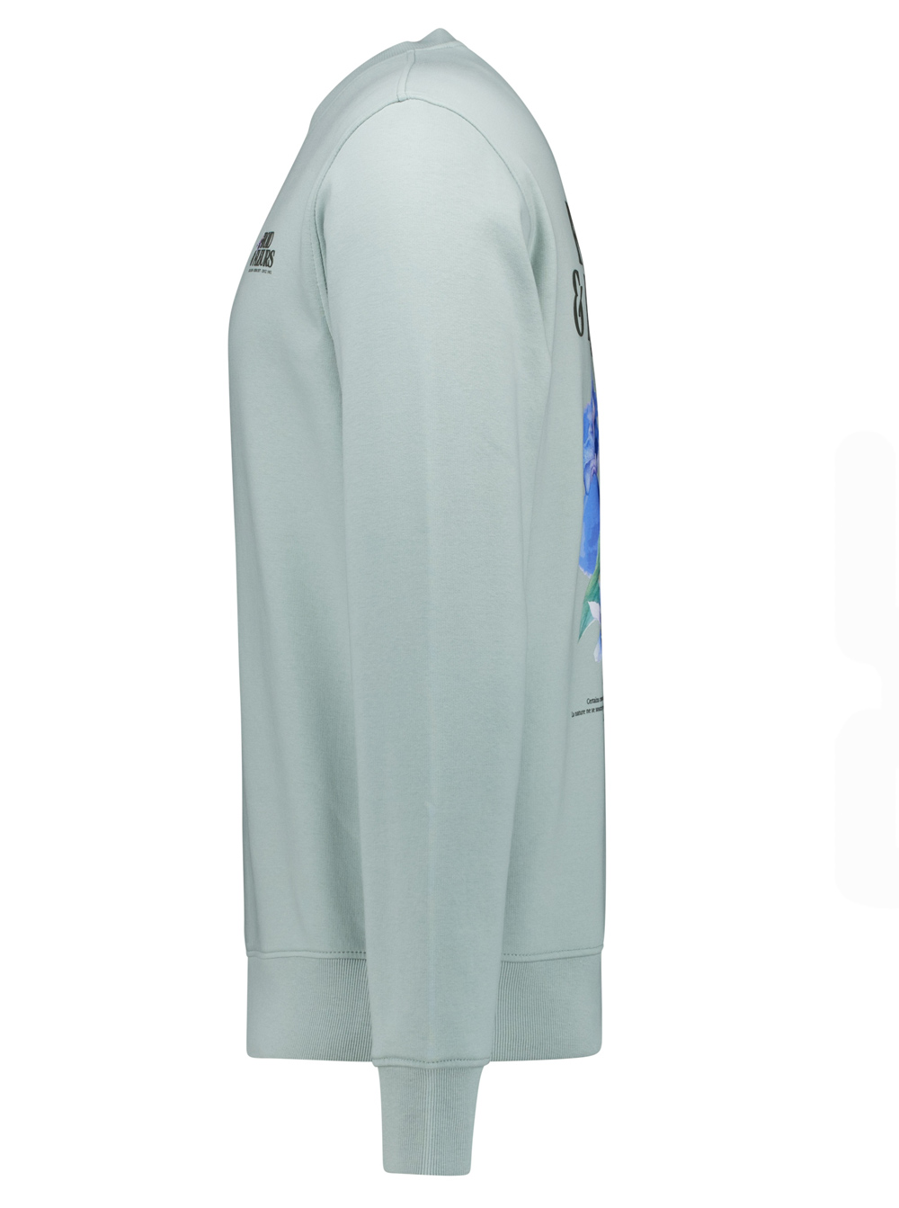 Cars Jeans Sweater met Rugprint - Froy SW - 6719734 - Afbeelding 5